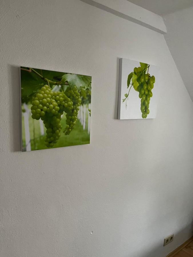 Haus Mika Villa Cochem Buitenkant foto